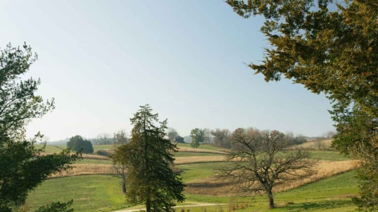El programa ambiental voluntario de Wisconsin registra la mayor participación de su historia 7 El programa ambiental voluntario de Wisconsin registra la mayor participación de su historia