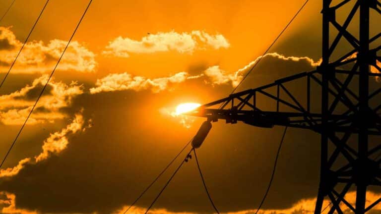 El WRI señala que la COP31 debe impulsar acciones en 3 áreas claves para mitigar la crisis energética y ambiental actual