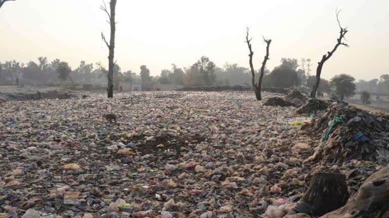El WRI insta a la COP31 a acelerar el paso de los compromisos a la acción frente al avance de la crisis climática 2 El WRI insta a la COP31 a acelerar el paso de los compromisos a la acción frente al avance de la crisis climática