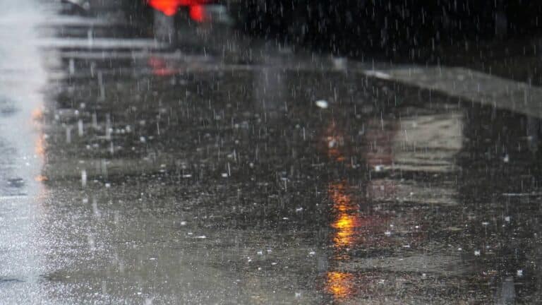 Un estudio en California detectó concentraciones peligrosas de un contaminante de neumáticos arrastrado por la lluvia hasta hábitats protegidos de salmones 2 Un estudio en California detectó concentraciones peligrosas de un contaminante de neumáticos arrastrado por la lluvia hasta hábitats protegidos de salmones